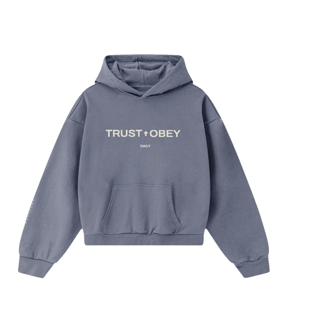 Daily Hoodie (Heavyweight / Unisex)