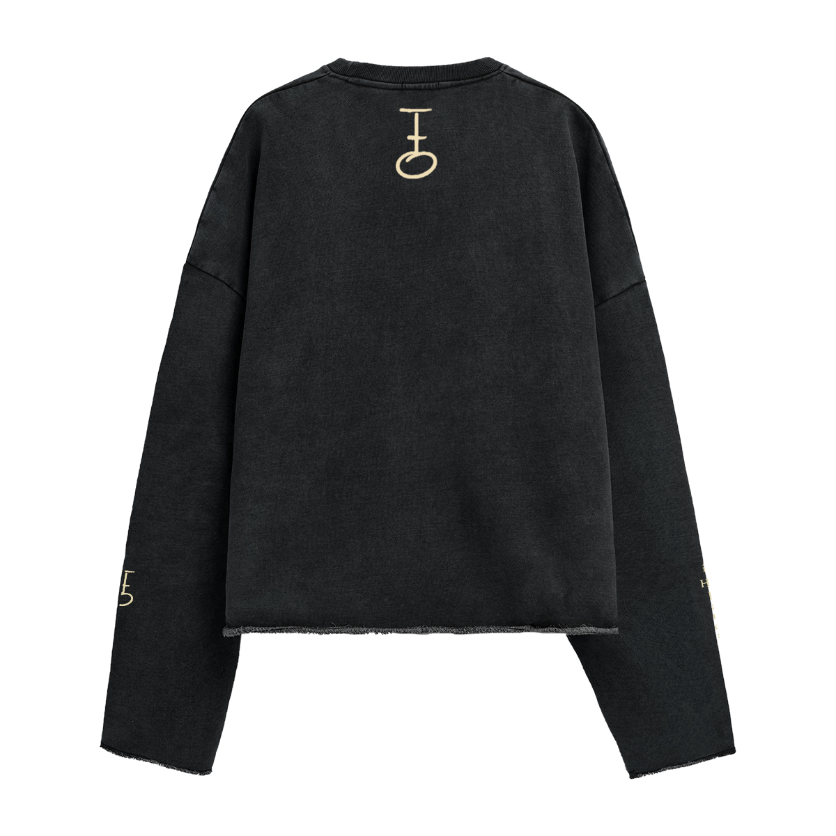 In His Hands Cropped Priesthood Sweatshirt (Heavyweight / Unisex)